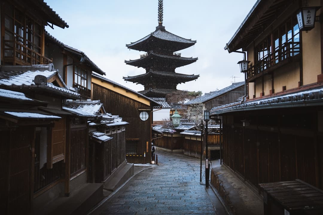 消暑博物馆：荷风莲韵，清凉“一夏”